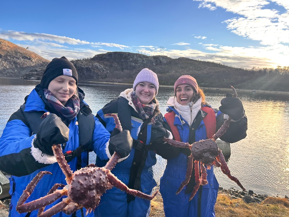 Trois personnes tenant des crabes près de l'eau.