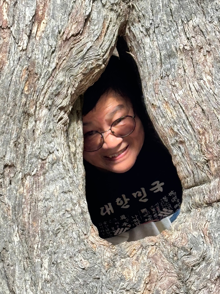 Personne regardant à travers un tronc d'arbre creux en souriant