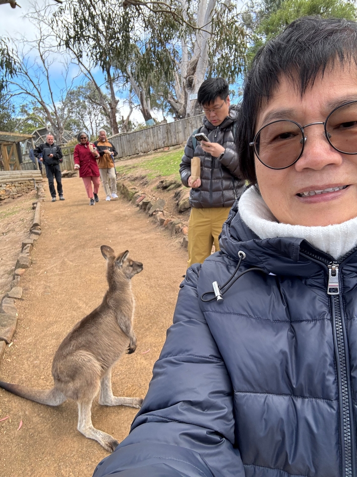 Une personne prenant un selfie avec un kangourou et d'autres personnes marchant en arrière-plan.