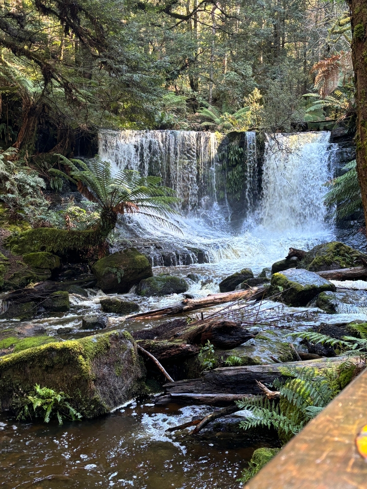 Cascade avec un environnement verdoyant luxuriant.