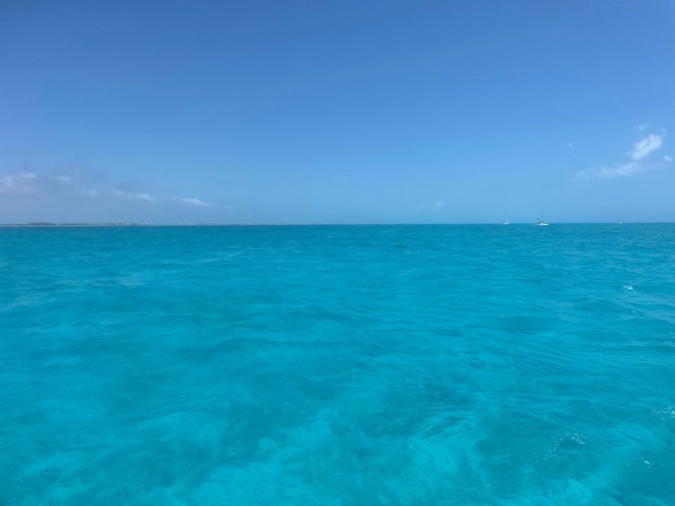 Vaste océan bleu sous un ciel dégagé.