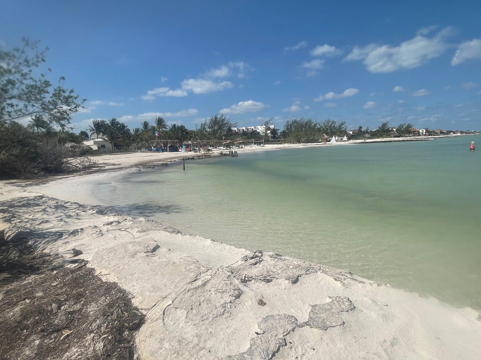 Vue sur le front de mer avec des personnes et des palmiers.