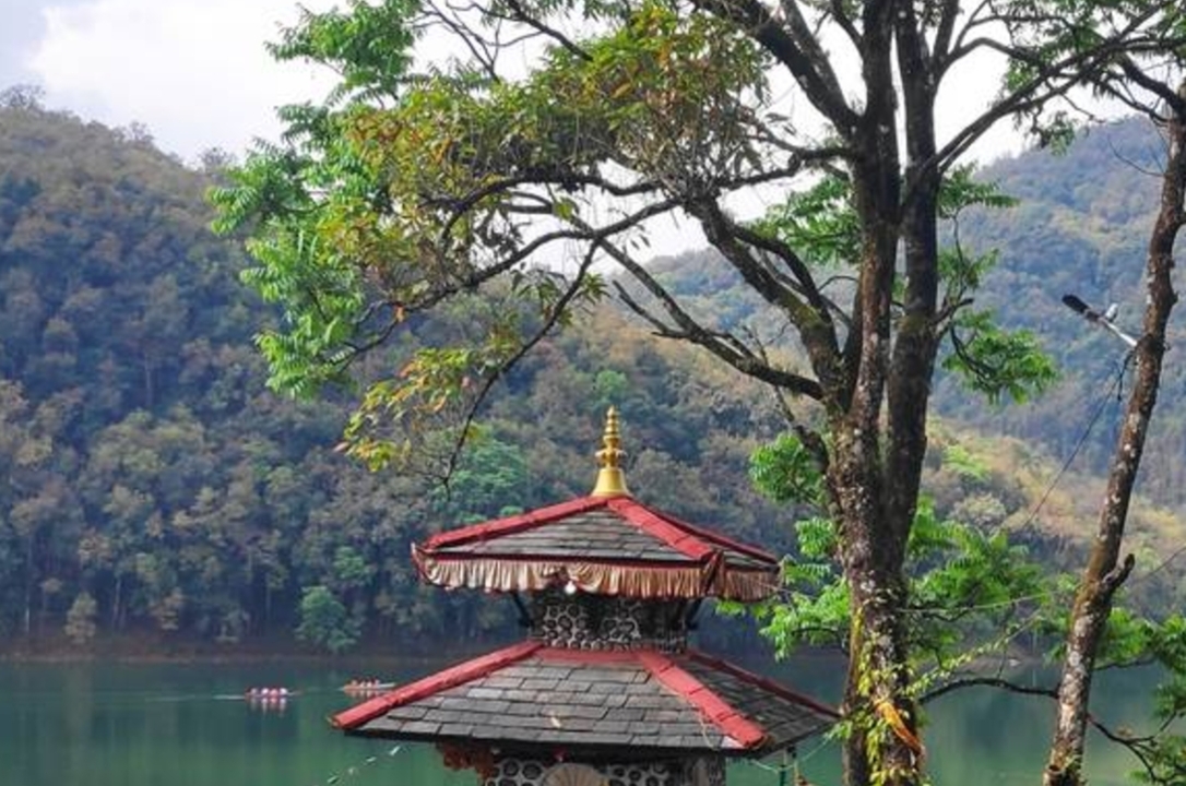 Bord de lac avec une pagode et des arbres