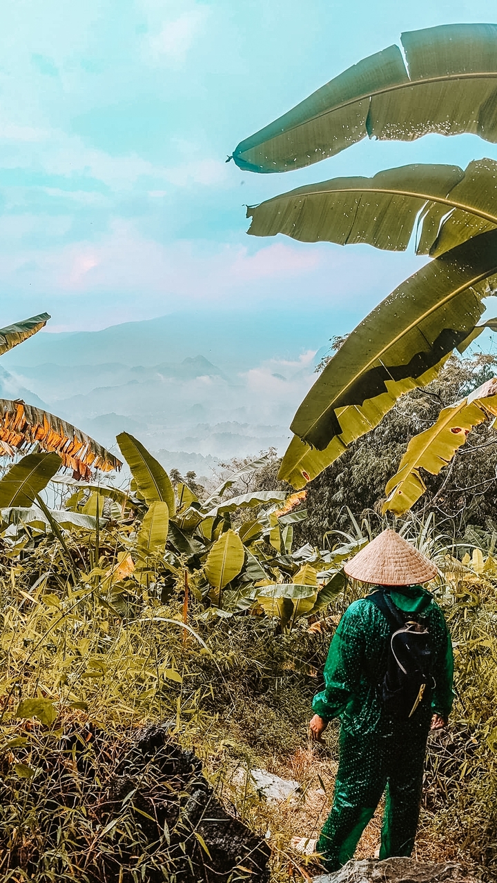 Vue panoramique des montagnes avec des feuilles de bananier au premier plan