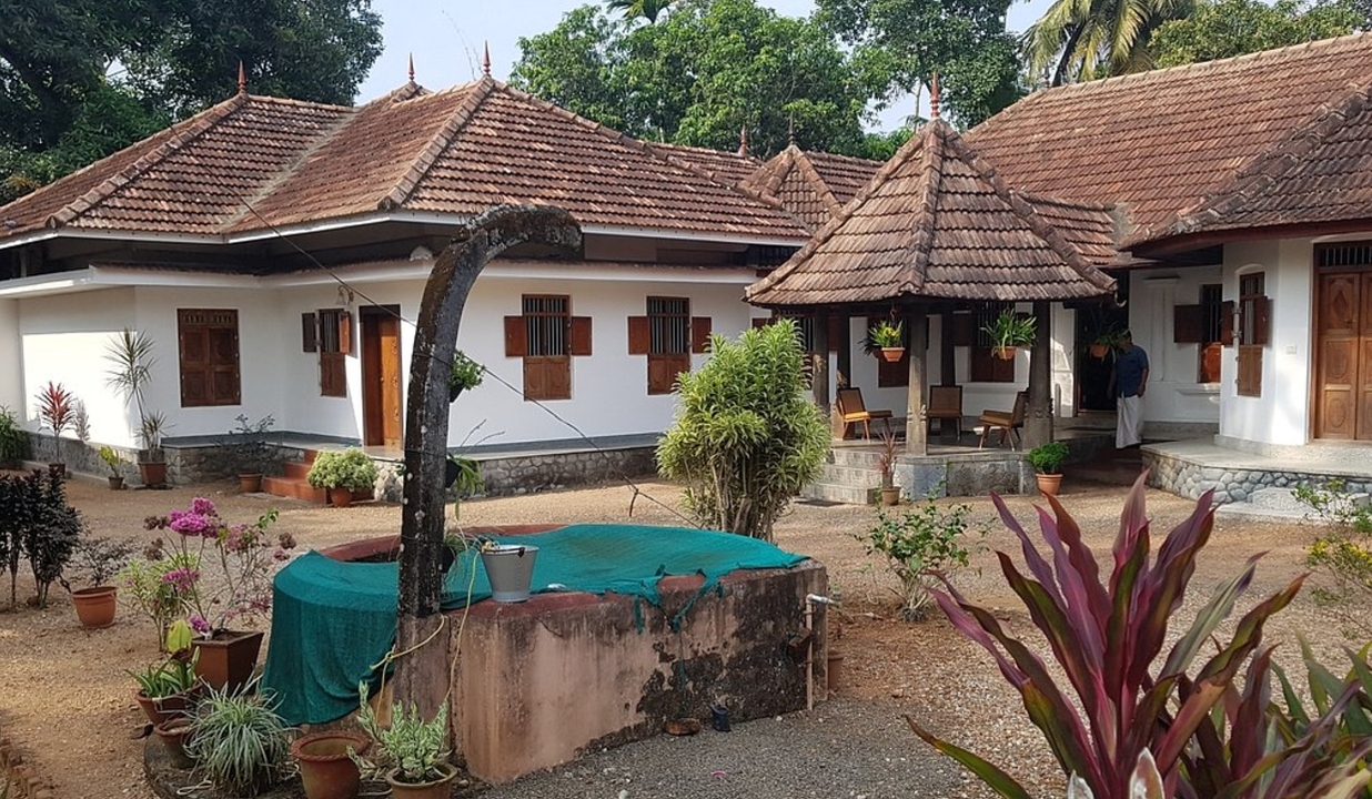 Maison de style traditionnel avec plantes et cour.