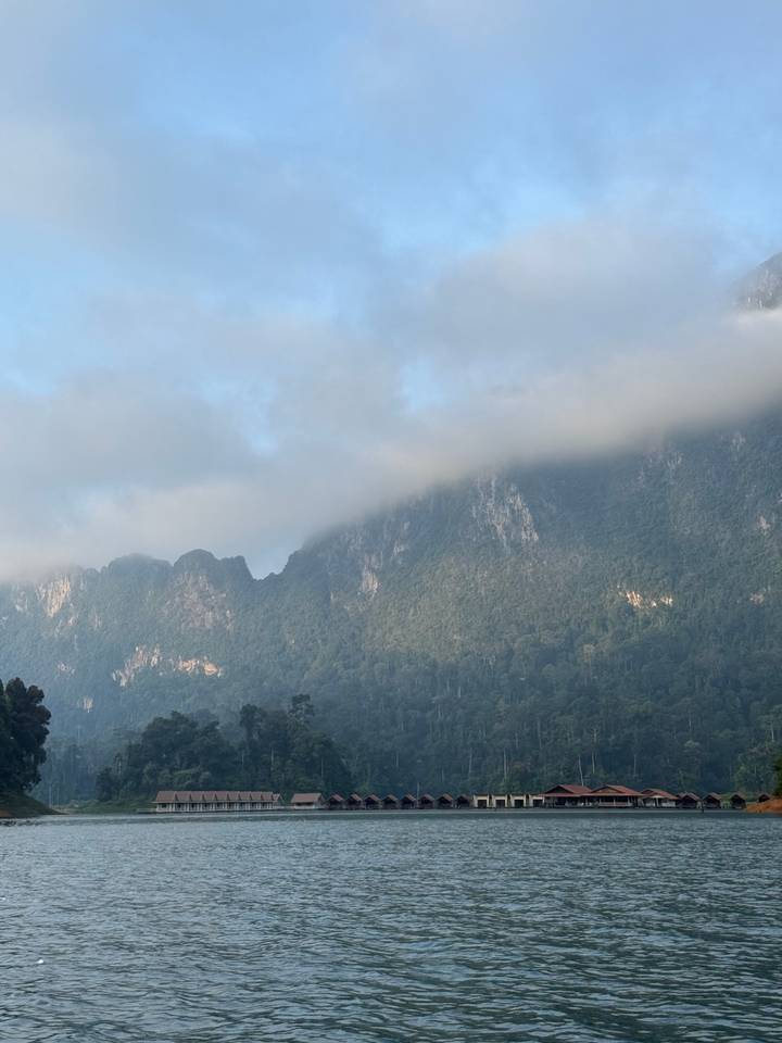 Montagnes brumeuses avec une forêt dense près du sommet.