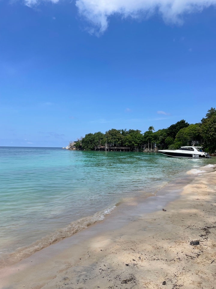 Bateau à moteur blanc dans une mer bleu clair près d'un rivage boisé.