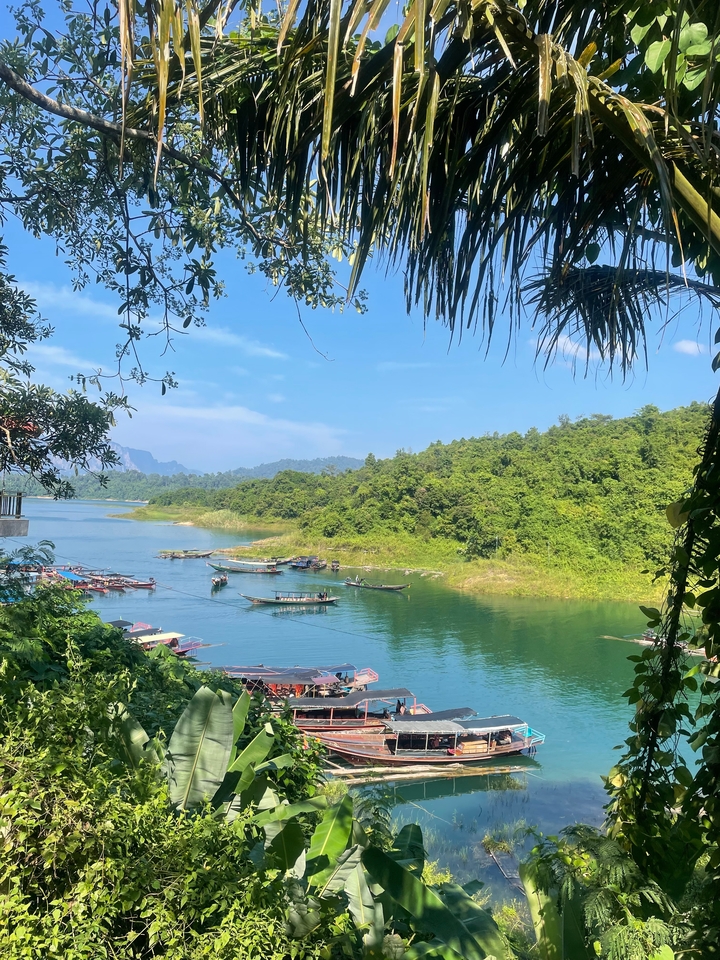 Vue sur la rivière avec des bateaux à longue queue et une végétation luxuriante par une journée ensoleillée.