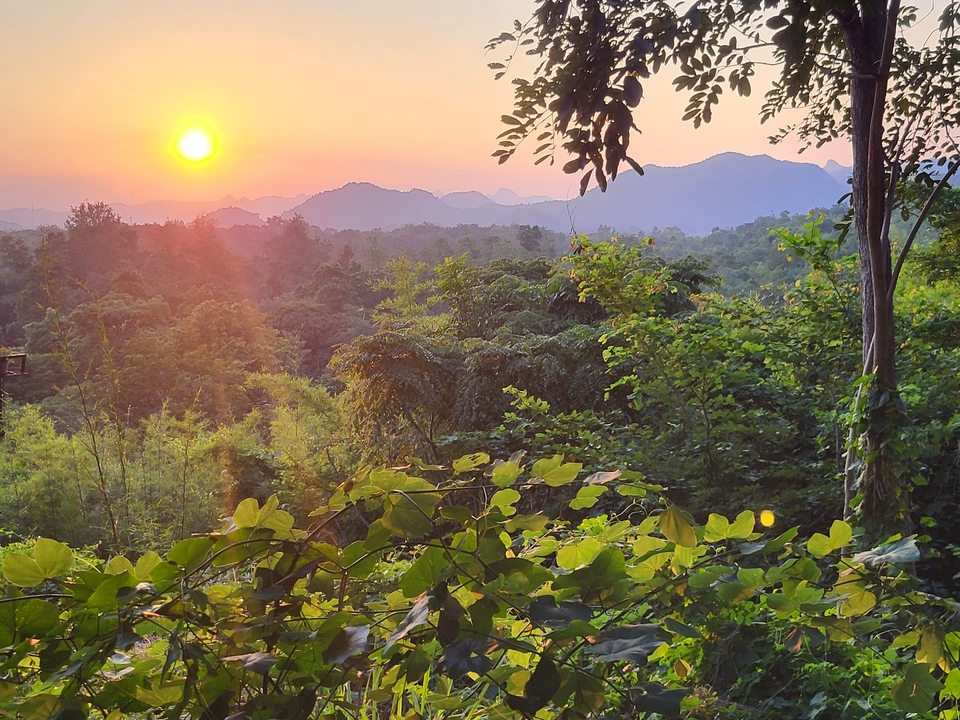Scenic view of mountains and forest at sunset.