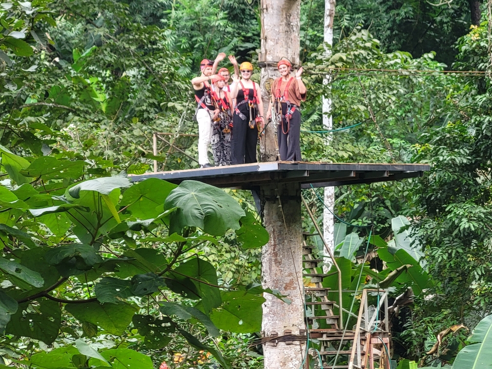 Group of people in ziplining gear in a forested area.