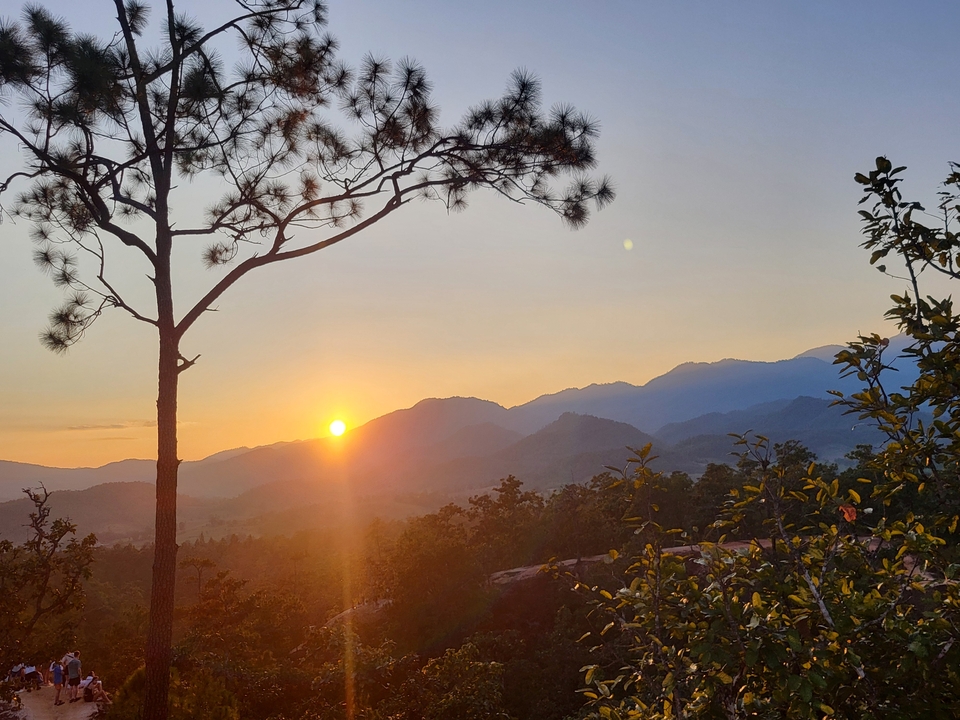 Sunset view with tree silhouette and mountains in the background.
