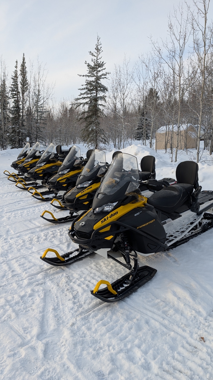Line of yellow and black snowmobiles parked in powdery snow ready for riders.