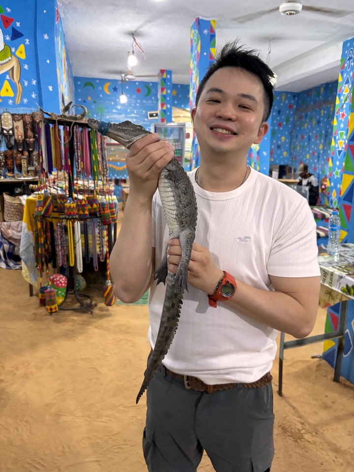 Personne tenant un petit crocodile dans un marché coloré.