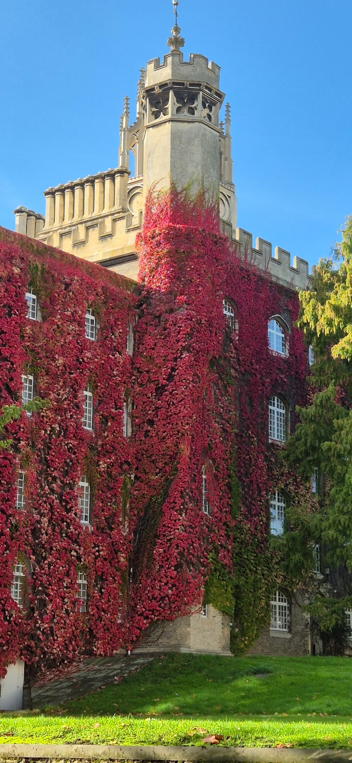 "Bâtiment recouvert de feuillage rouge pendant l'automne."