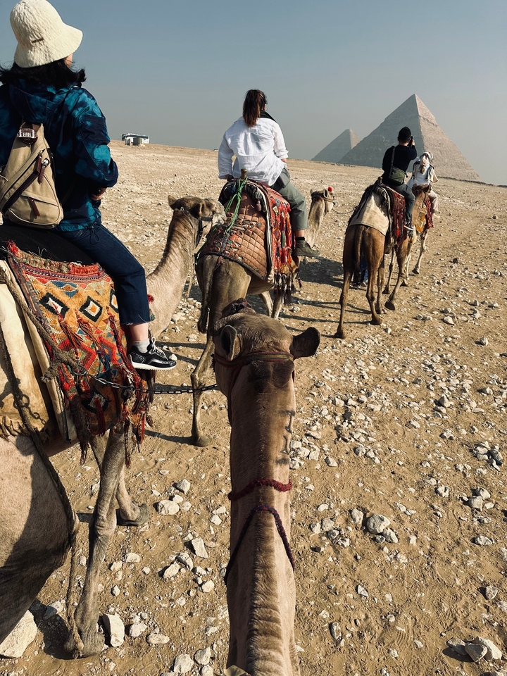 Des gens chevauchant des chameaux sur un terrain sablonneux.