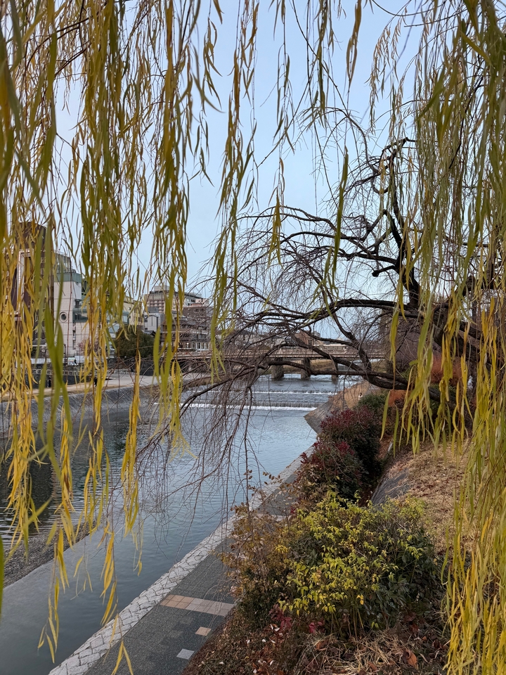 Rivière avec un pont et des maisons obscurcies par des branches d'arbres.