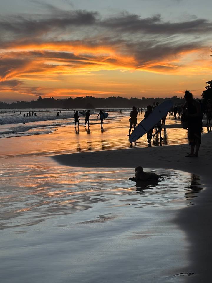 Silhouette de surfeurs et d'un chien sur une plage au coucher du soleil.