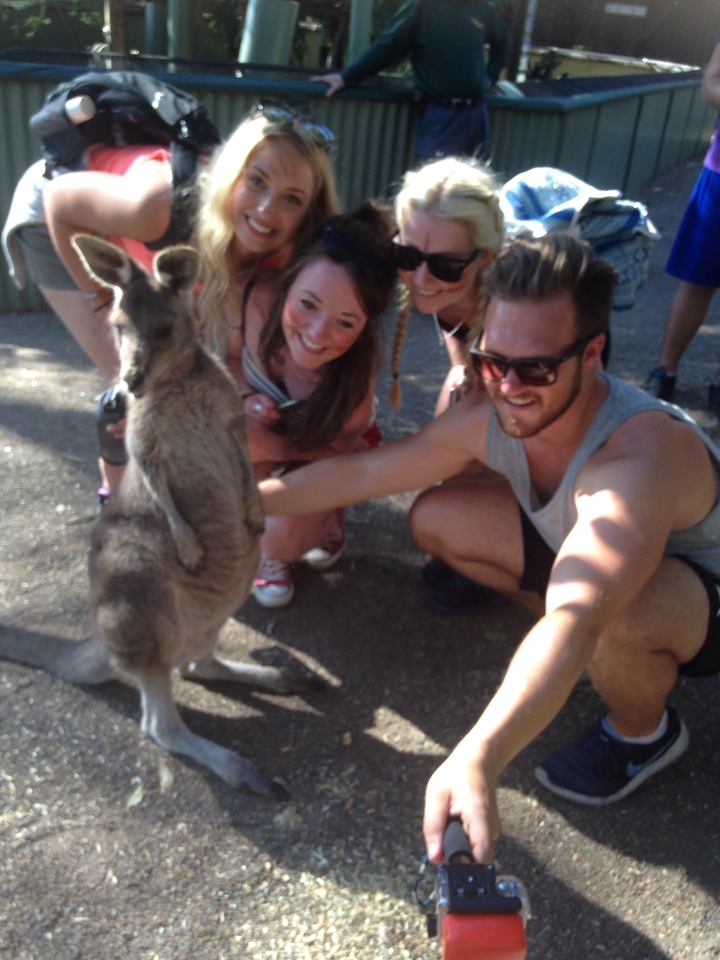 Travellers crouching to feed and pet a kangaroo in dappled forest light.
