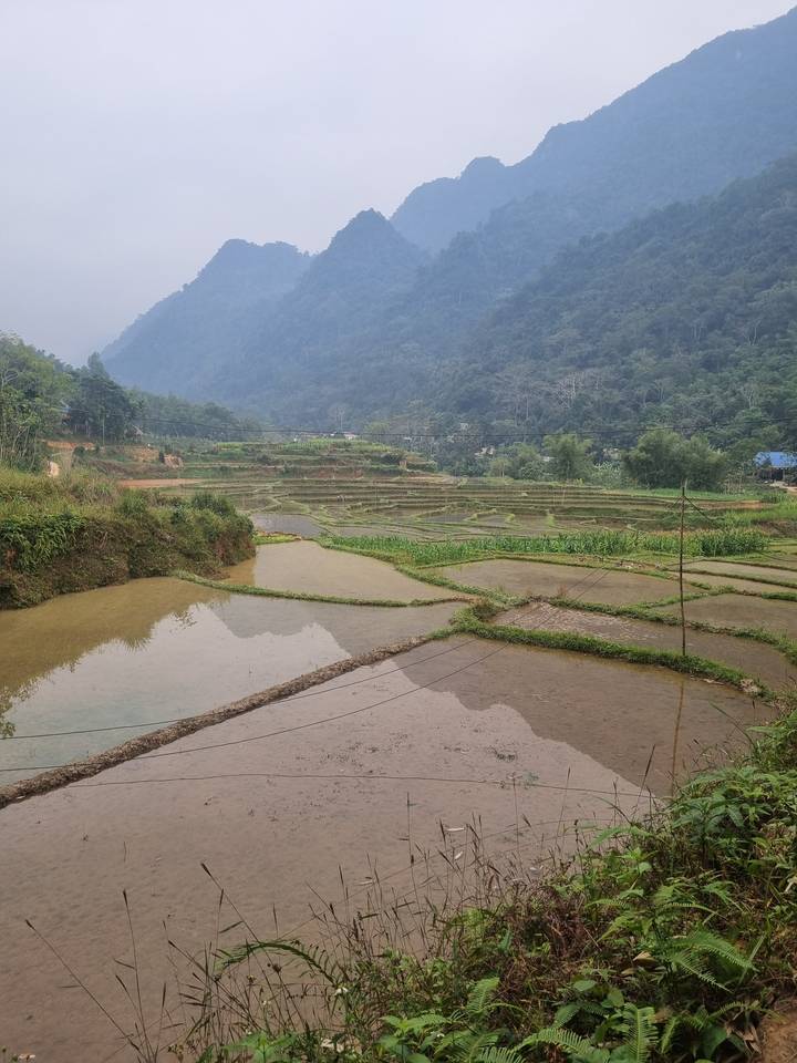 Rizières en terrasses avec un décor de montagnes par temps nuageux.