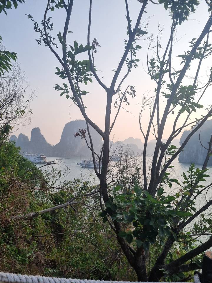 Vue de la baie d'Halong avec des bateaux et une végétation luxuriante sous un ciel nuageux.
