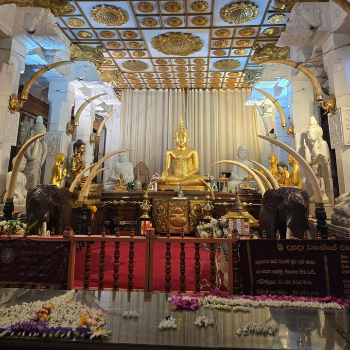 Interior de un templo con una estatua dorada de Buda y decoraciones de colmillos de elefante.