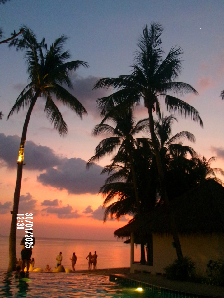 Des palmiers en silhouette contre un coucher de soleil coloré.