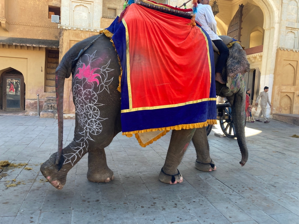 Éléphant avec peinture décorative et tissu de couverture.