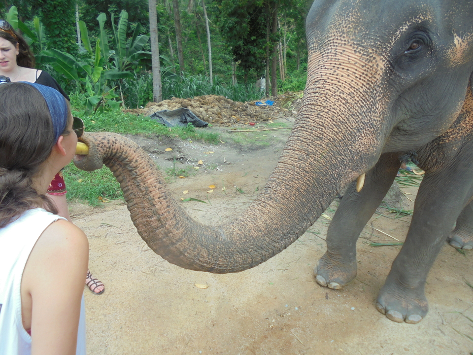 Close-up interaction between a woman and an elephant.