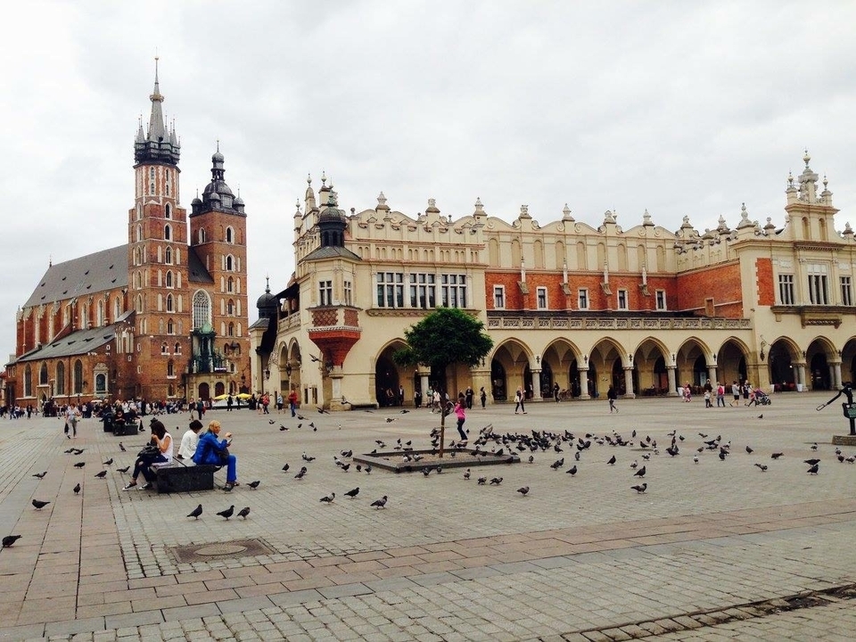 Place historique avec pigeons et monuments architecturaux.