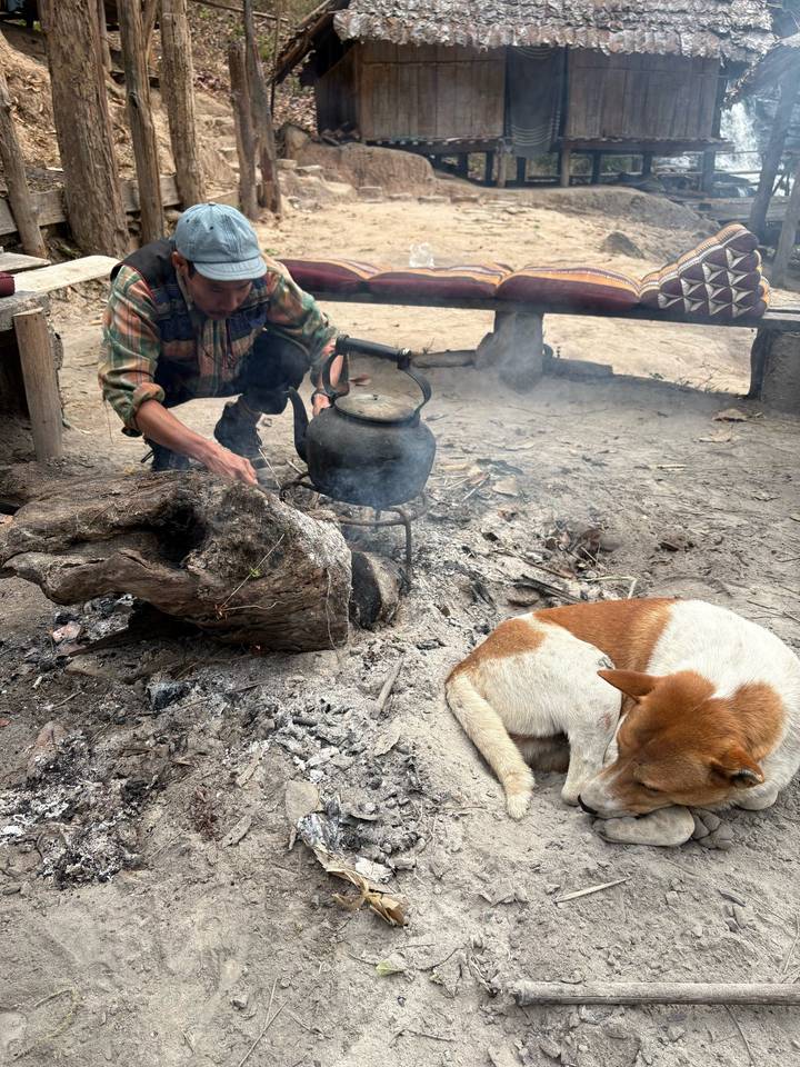Personne s'occupant d'une bouilloire sur un feu à côté d'un chien.