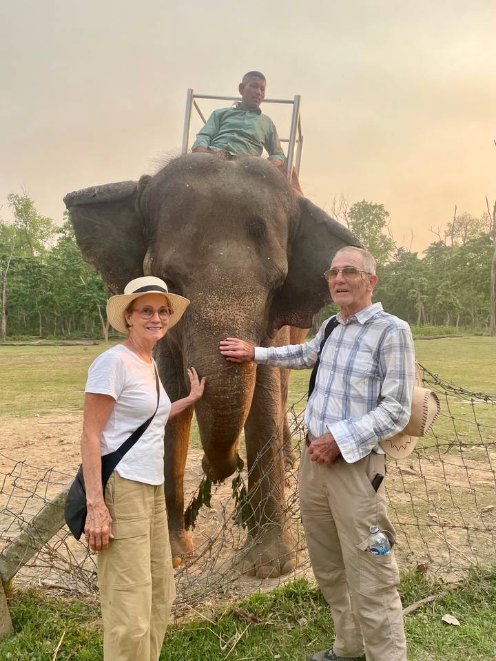 Couple debout à côté d'un éléphant dans un cadre naturel.