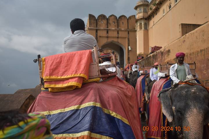 Des éléphants transportant des touristes sur le sentier d'un fort historique.