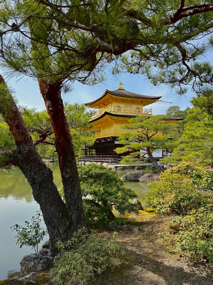 Kinkaku-ji (Pavillon d'Or) entouré d'arbres.