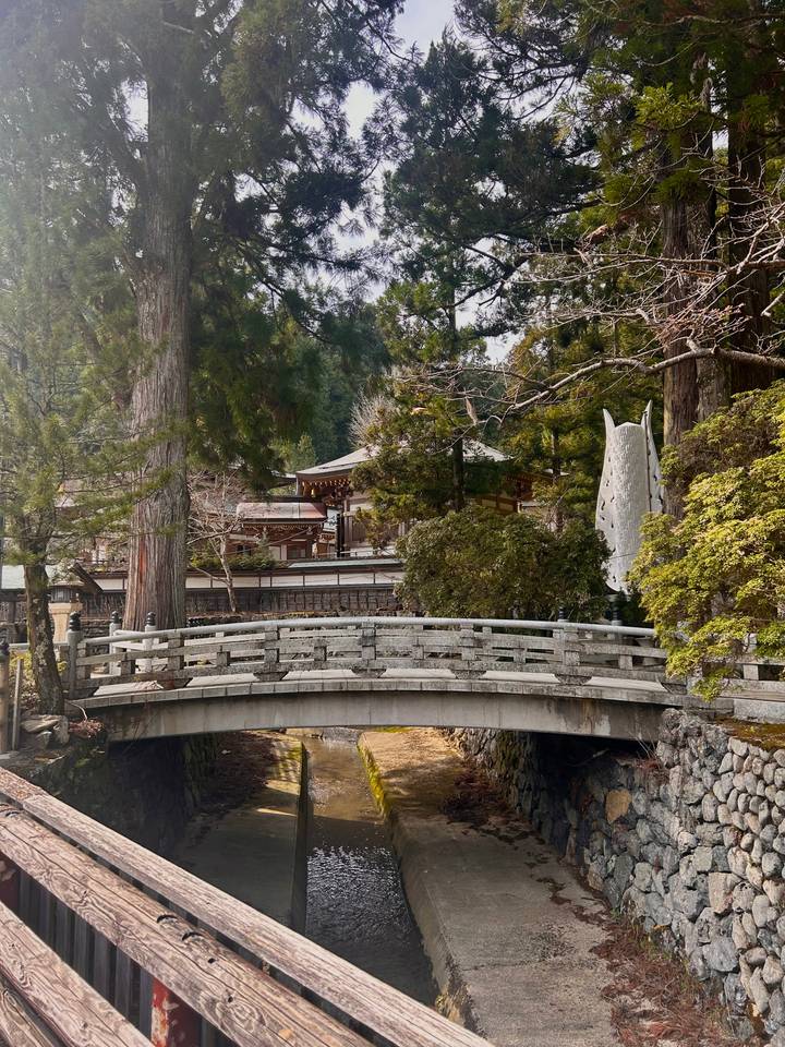 Vue pittoresque d'un temple japonais et d'un pont entourés par la nature.