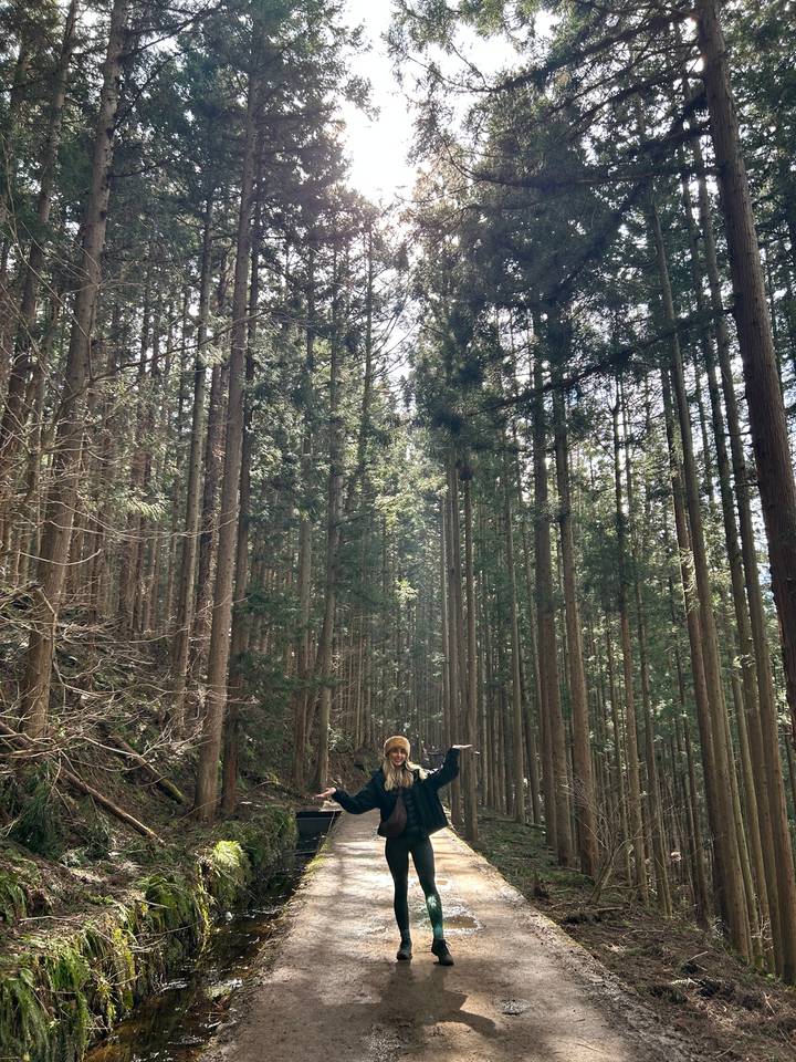 Personne faisant de la randonnée à travers une forêt dense.