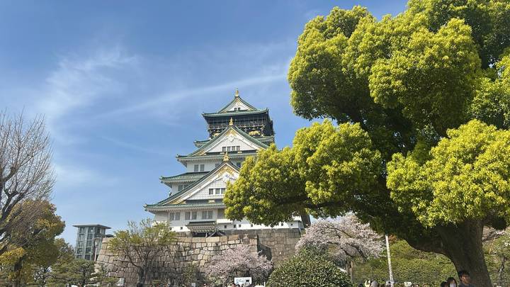 Le château d'Osaka entouré de cerisiers en fleurs.