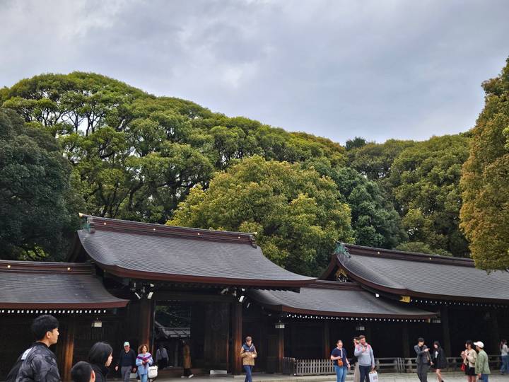 Toits japonais traditionnels avec des arbres.