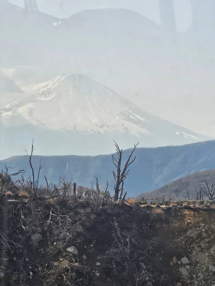 Le mont Fuji vu de loin avec des arbres dénudés.