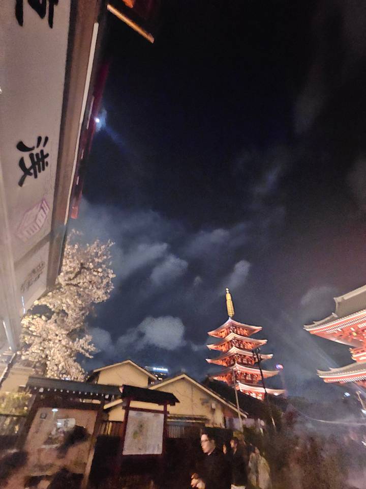 Ciel nocturne avec toits de temple et fleurs de cerisier.