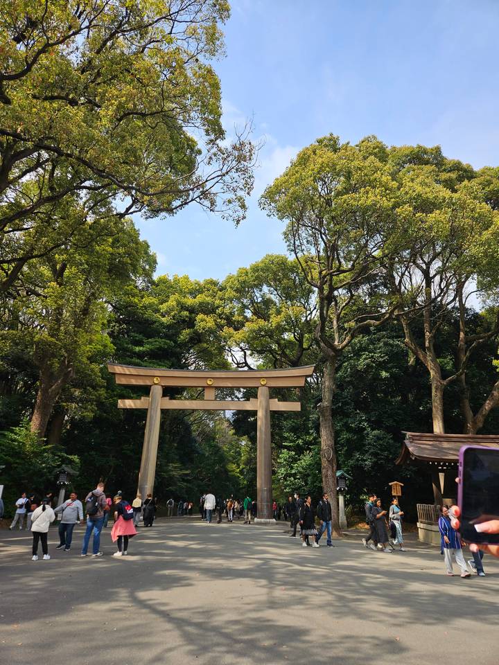 Une grande porte torii dans une zone boisée.