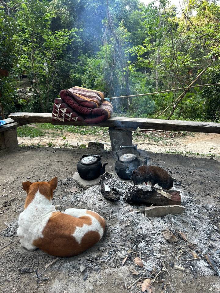 Espace de cuisine extérieur avec théières et bûches.