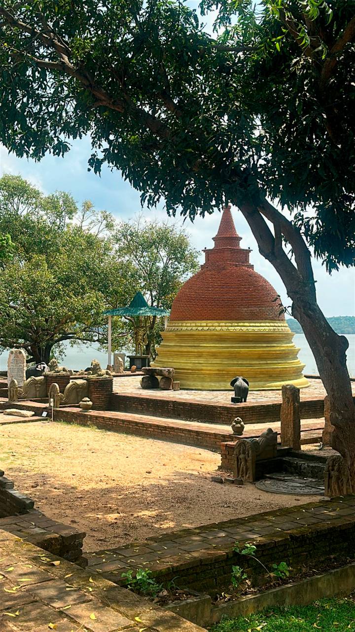 Stupa bouddhiste entouré d'arbres.