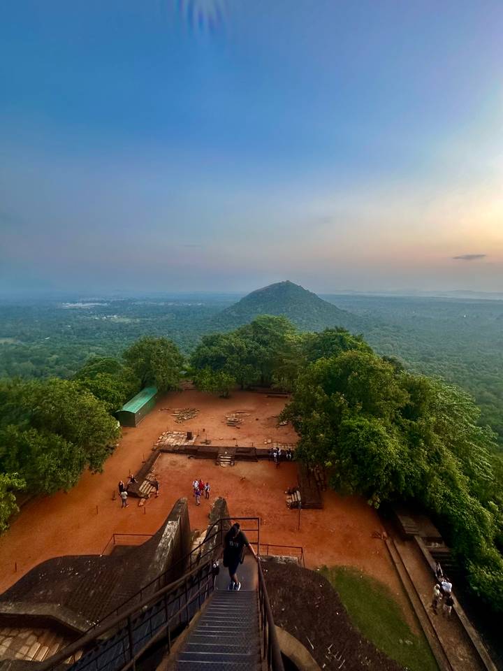 Vue panoramique depuis le sommet d'une colline surplombant une forêt et une montagne.