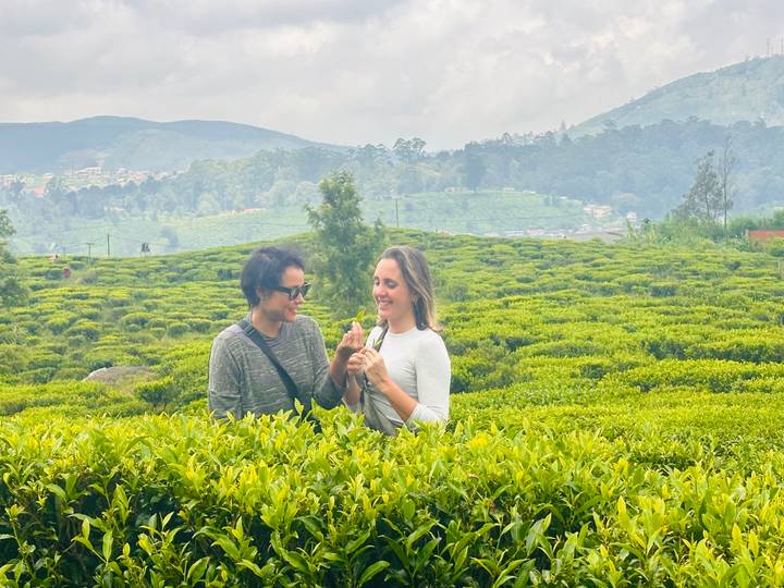 Deux femmes profitant d'une promenade dans une plantation de thé.