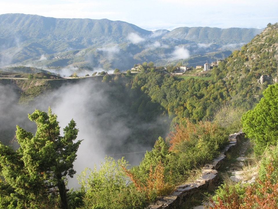 Vue d'une zone montagneuse couverte de brume et de verdure.