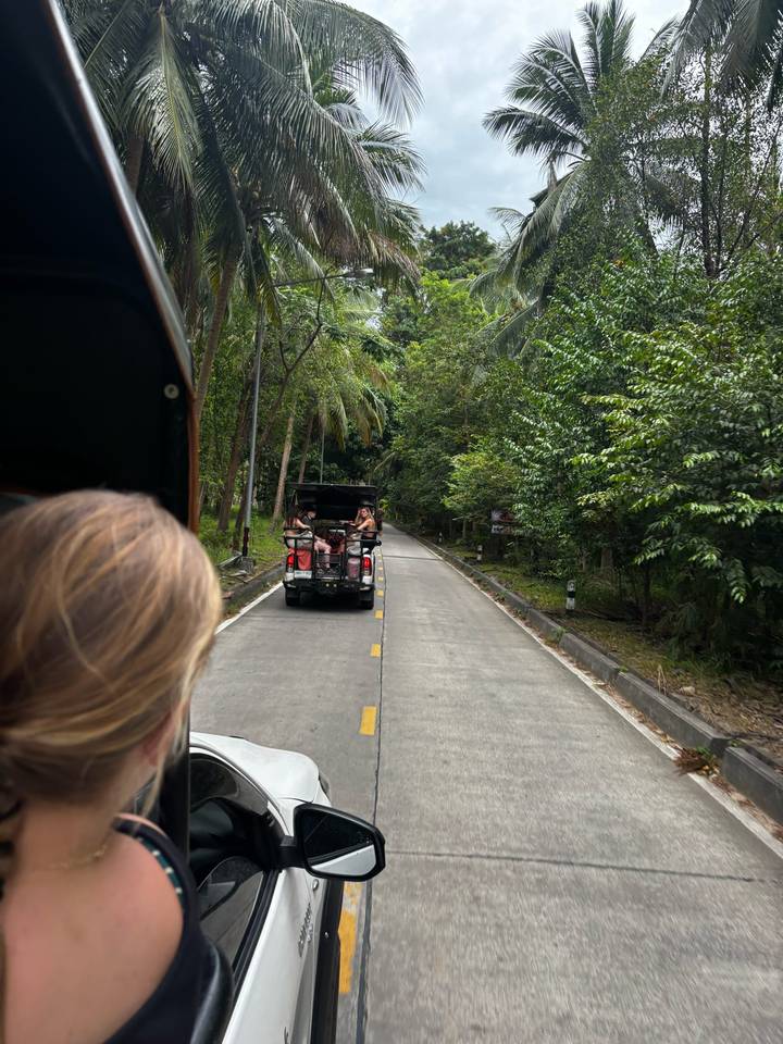 Vue depuis un véhicule roulant sur une route à travers une forêt.