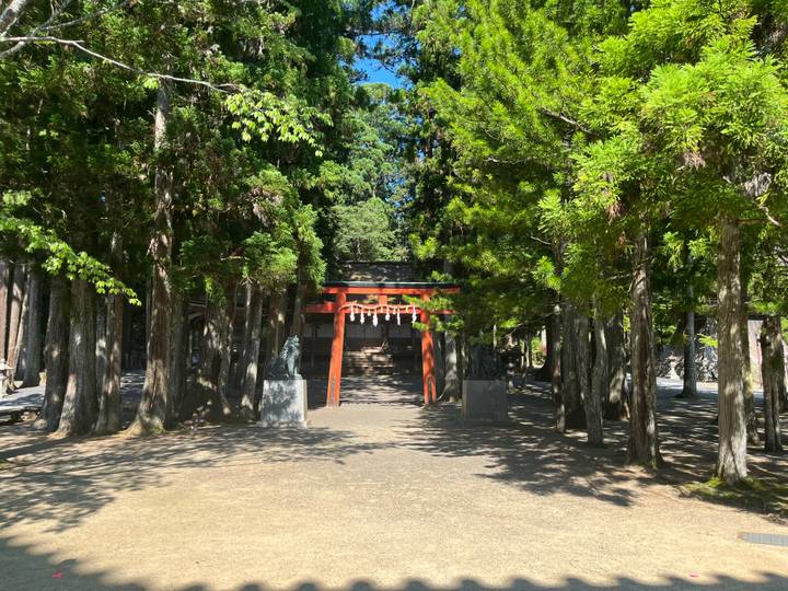 Un torii rouge dans une zone forestière.