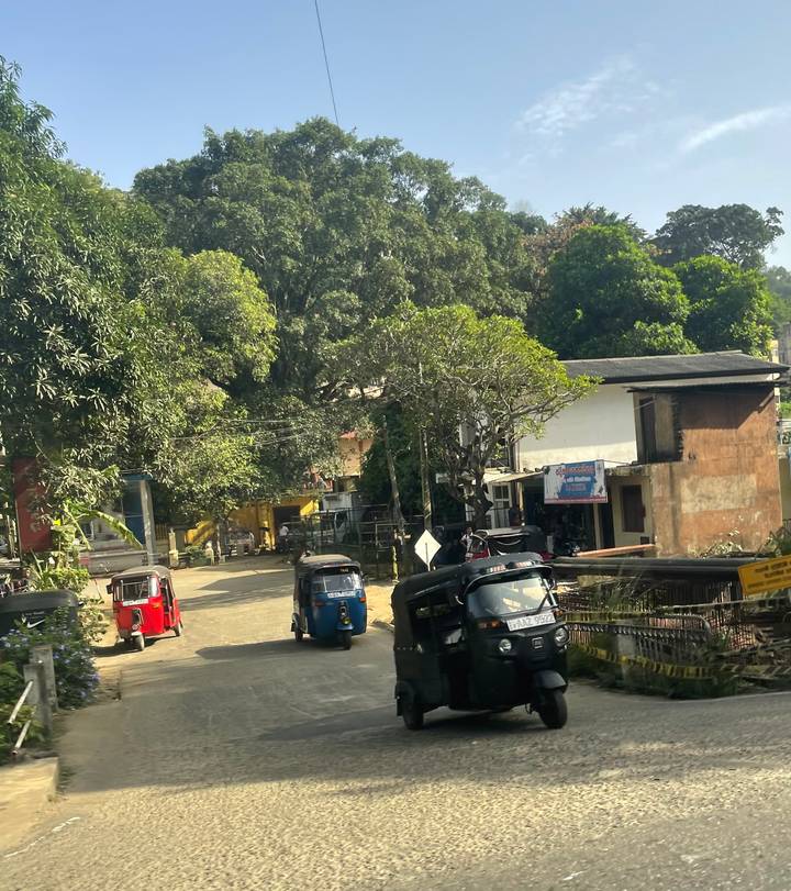 Des tuk-tuks dans une rue d'un quartier verdoyant.