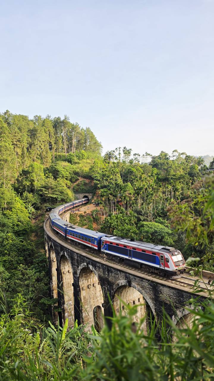 Un train coloré serpentant à travers un paysage verdoyant luxuriant.