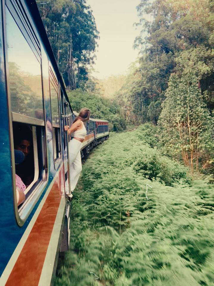 Une personne se penchant hors d'un train en marche au milieu de la verdure.